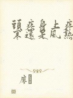 头疼身上疼是风寒还是风热感冒