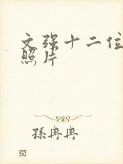 文强十二位演员照片