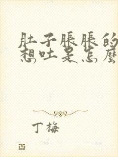 肚子胀胀的有点想吐是怎么回事封面