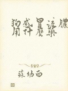 狗感冒流脓鼻涕用什么药