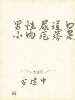 男性尿道口长个小肉疙瘩是怎么回事