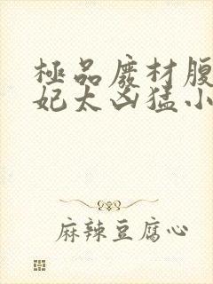 极品废材腹黑狂妃太凶猛小说封面