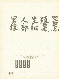 男人生殖器勃起根部细是怎么回事