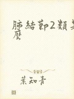 肺结节2类是什么