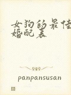 女狗的最佳属相婚配表封面