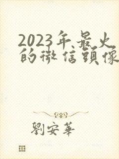 2023年最火的微信头像