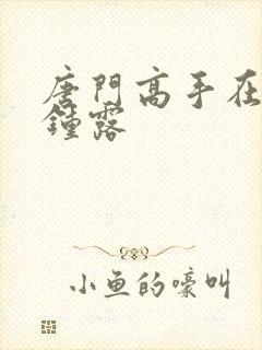 唐门高手在异世钟露