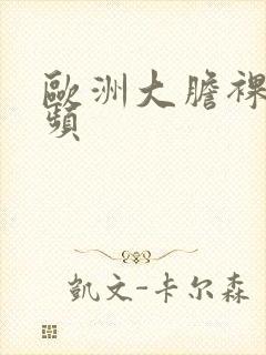 欧洲大胆裸体视频封面