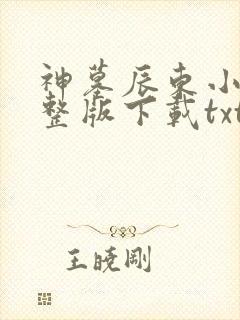 神墓辰东小说完整版下载txt封面