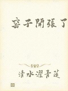 窑子开张了封面