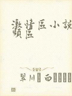 激情区小说区视频区