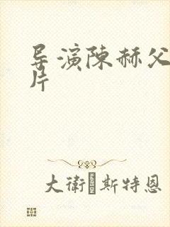 导演陈赫父子照片