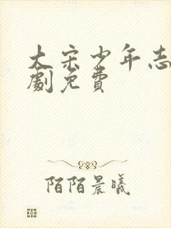 大宋少年志电视剧免费封面