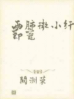 两肺微小纤维结节灶