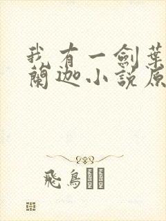 我有一剑叶观纳兰迦小说原文免费阅读