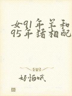 女91年羊和男95年猪相配吗