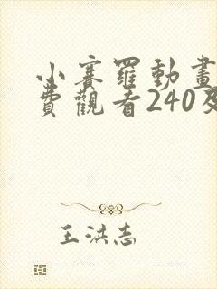 小赛罗动画片免费观看240及集封面