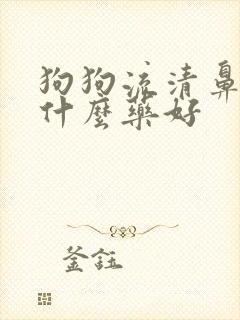 狗狗流清鼻涕吃什么药好