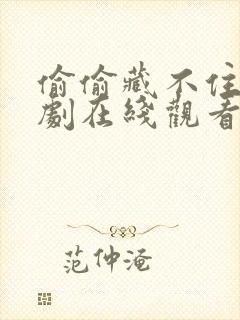 偷偷藏不住电视剧在线观看全集免费