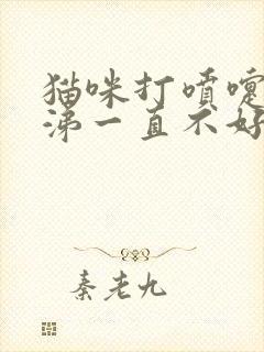 猫咪打喷嚏流鼻涕一直不好怎么办