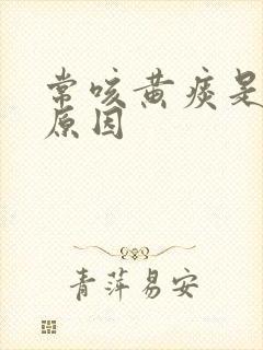 常咳黄痰是什么原因