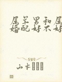 属羊男和属狗女婚配好不好