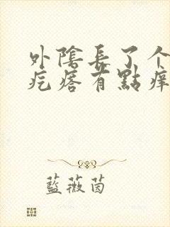 外阴长了个白色疙瘩有点痒