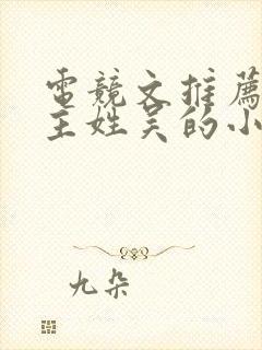 电竞文推荐双男主姓吴的小说