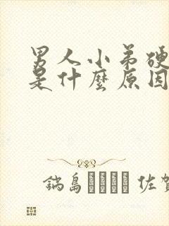 男人小弟硬不起是什么原因