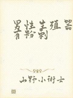 男性生殖器上面有粉刺