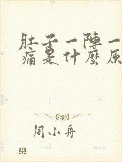 肚子一阵一阵疼痛是什么原因封面