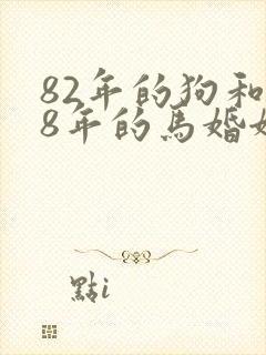 82年的狗和78年的马婚姻如何