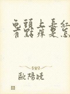 龟头上长红点还有点痒是怎么回事封面