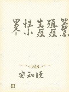 男性生殖器长了个小痘痘怎么回事