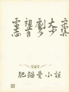 电视剧大宋少年志有多少集