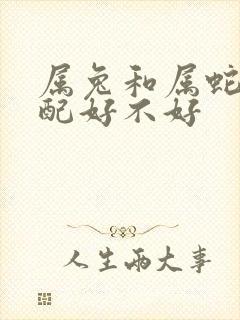 属兔和属蛇的婚配好不好封面