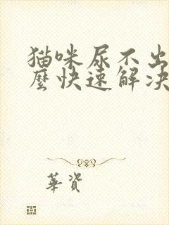 猫咪尿不出尿怎么快速解决小妙招