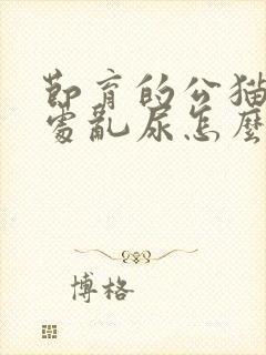 节育的公猫还到处乱尿怎么办