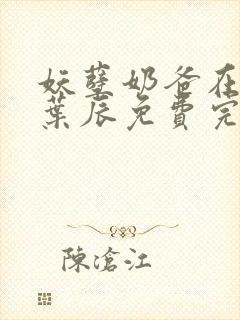 妖孽奶爸在都市叶辰免费完结版阅读