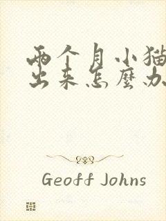 两个月小猫尿不出来怎么办