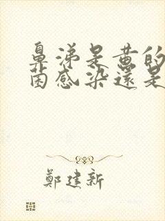 鼻涕是黄的是细菌感染还是病毒感染