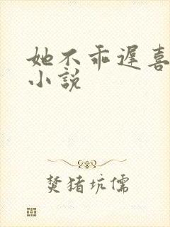 她不乖迟喜原著小说