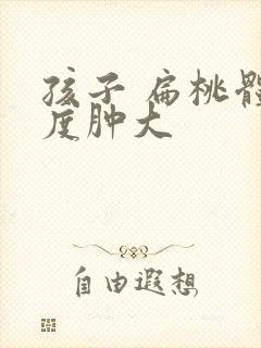 孩子 扁桃体2度肿大