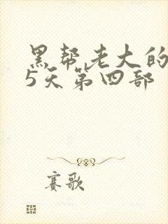 黑帮老大的365天第四部