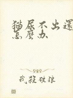 猫尿不出还呕吐怎么办