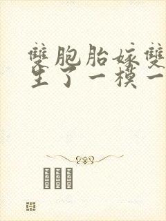 双胞胎嫁双胞胎生了一模一样的孩子封面