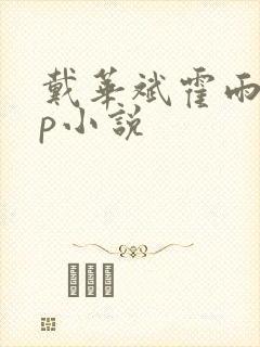 戴华斌霍雨浩cp小说