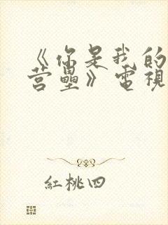 《你是我的城池营垒》电视剧免费