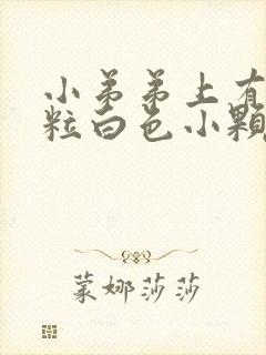 小弟弟上有一粒粒白色小颗粒