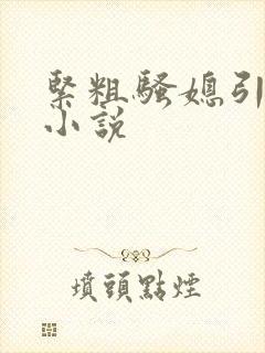 紧粗骚媳引勾公小说